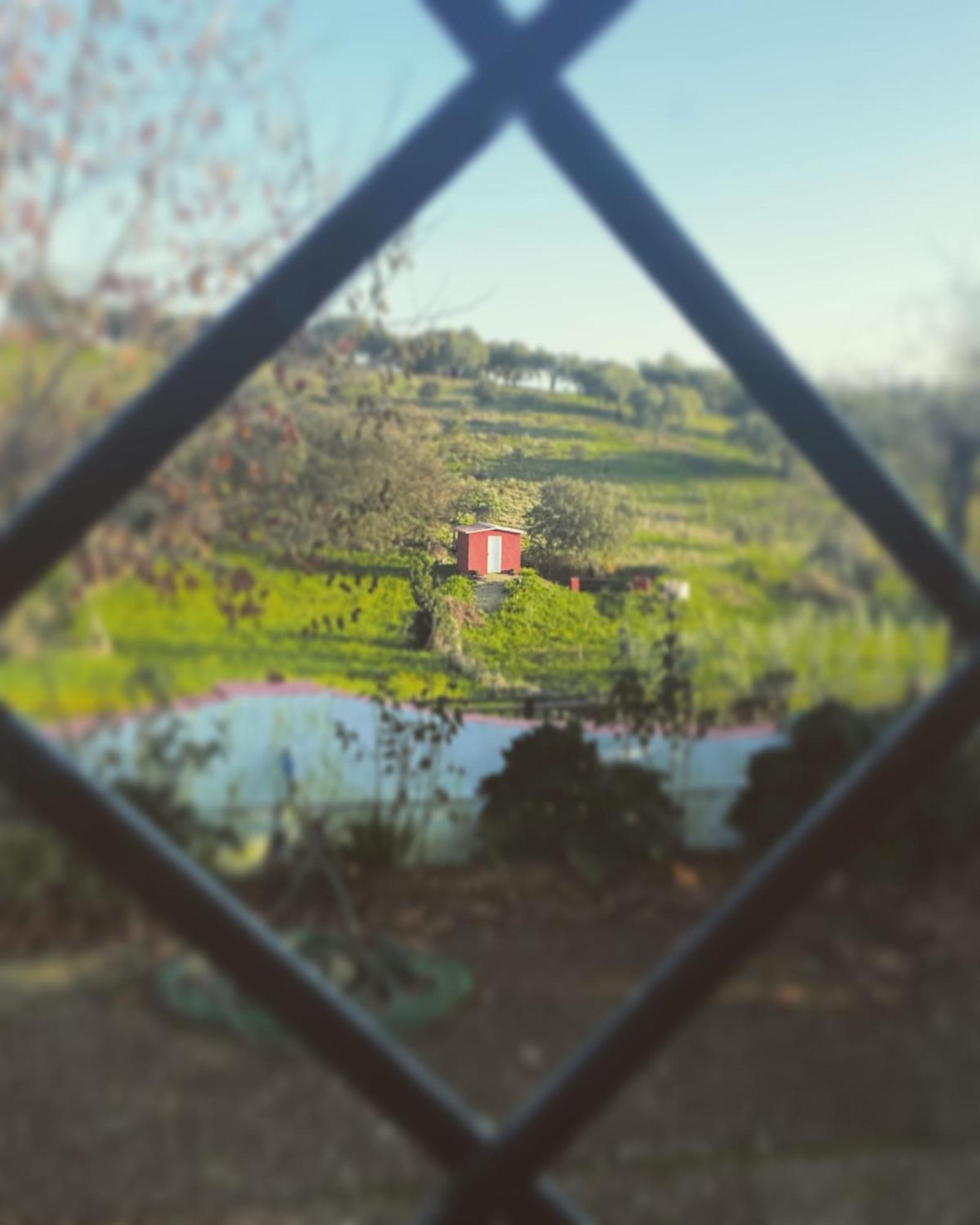 La Casa Barata, Casa Rural Cedillo Bagian luar foto